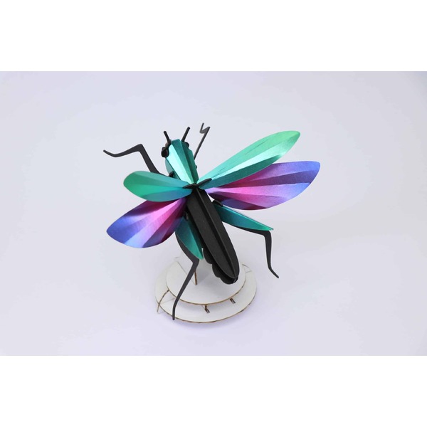 Assembli 3D Insect Grasshopper