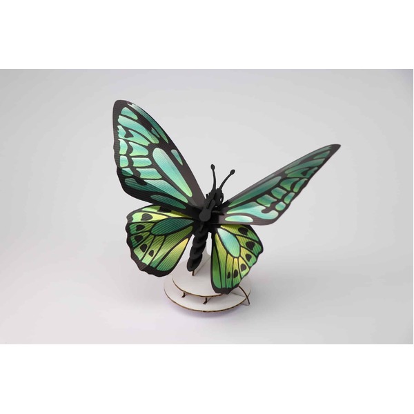 Assembli 3D Insect Green Birdwing Butterfly