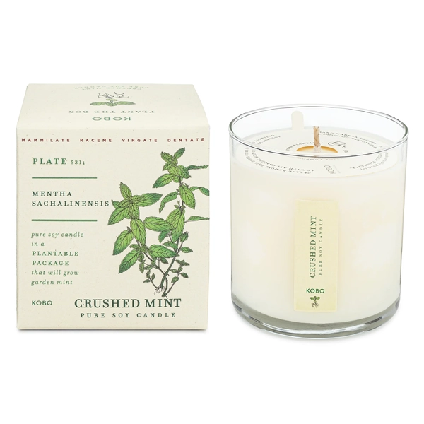 Kobo Plant the Box Candle Crushed Mint 10oz Pure Soy Candle