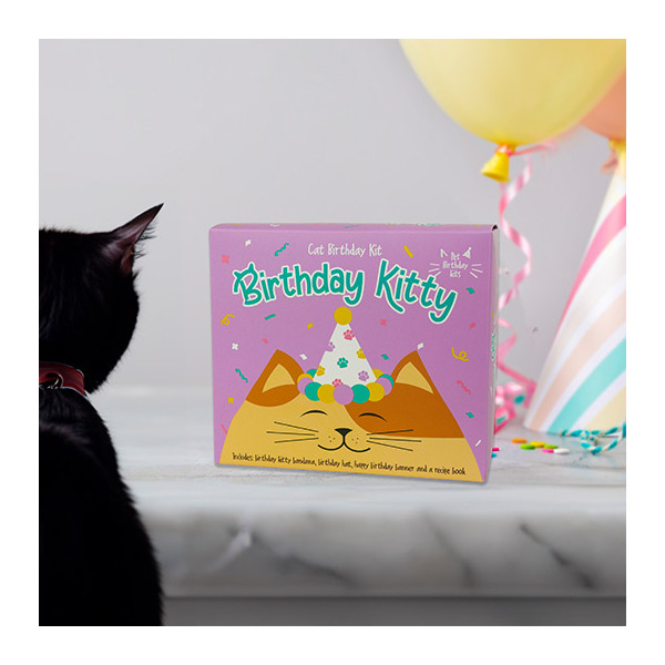 Birthday Kitty  Cat Birthday Kit