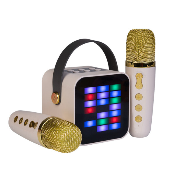 Wireless Karaoke Duo